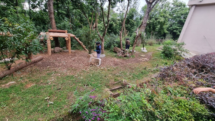 성도(청두)에서 팬더보고 왔습니다._13.jpg