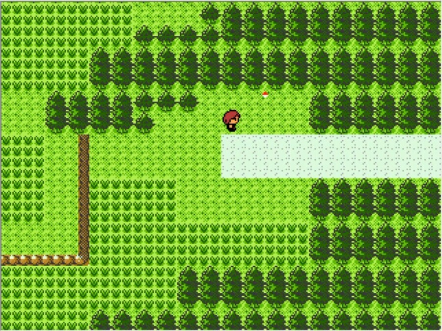 몬스터 볼을 잘 못 훔쳐버린 실버 甲.jpg_3.jpg