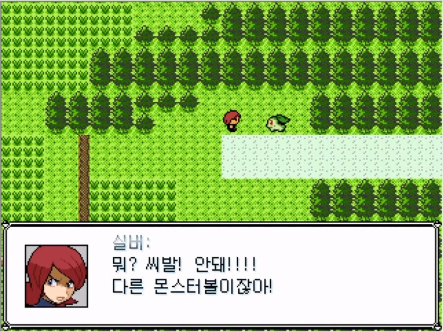 몬스터 볼을 잘 못 훔쳐버린 실버 甲.jpg_7.jpg