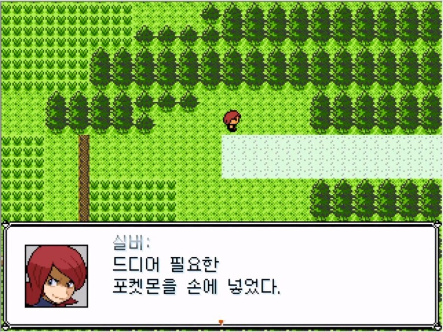 몬스터 볼을 잘 못 훔쳐버린 실버 甲.jpg_9.jpg