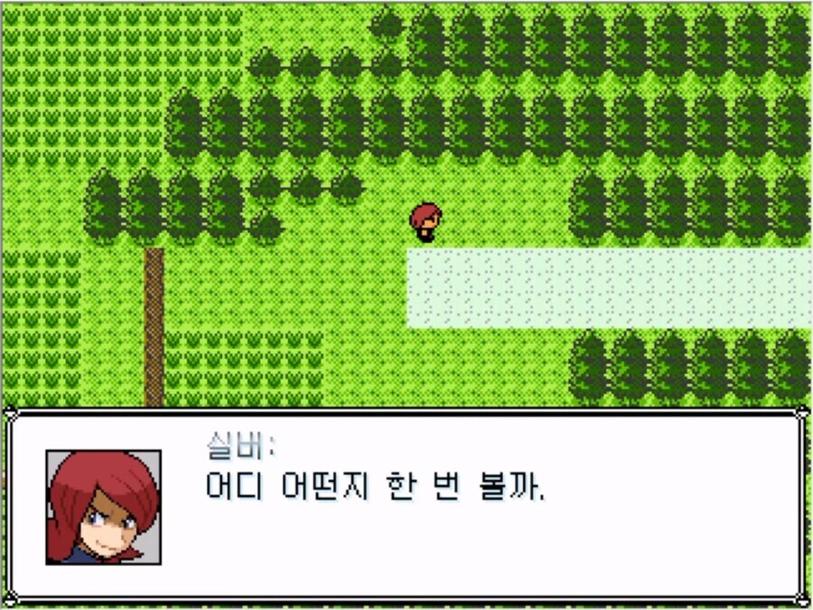 몬스터 볼을 잘 못 훔쳐버린 실버 甲.jpg_10.jpg