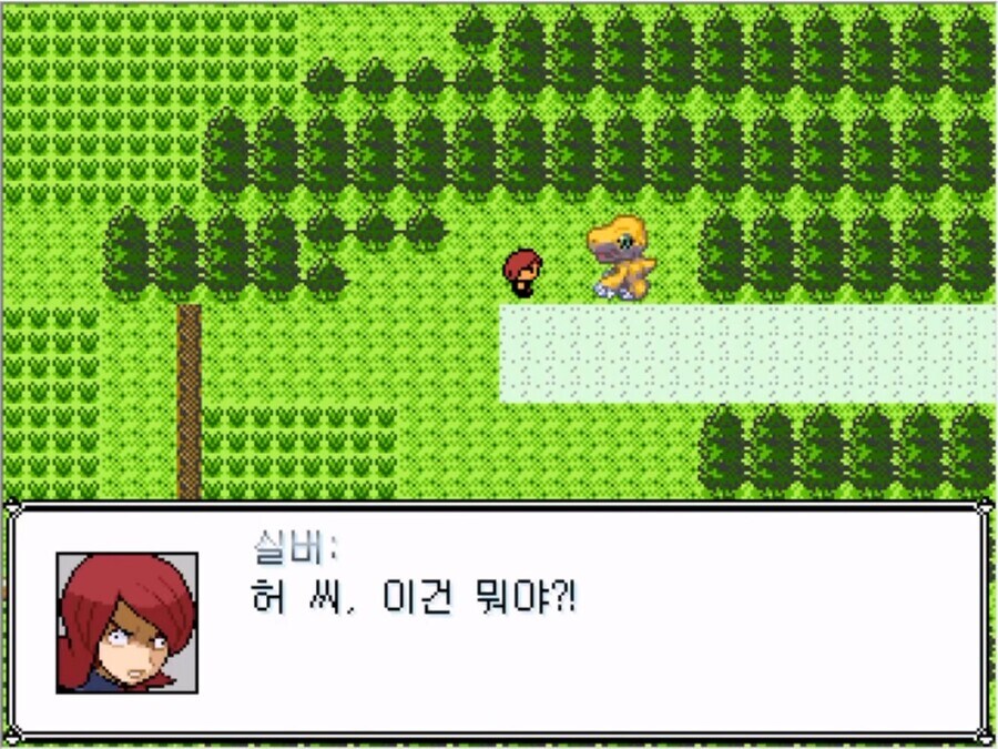 몬스터 볼을 잘 못 훔쳐버린 실버 甲.jpg_12.jpg