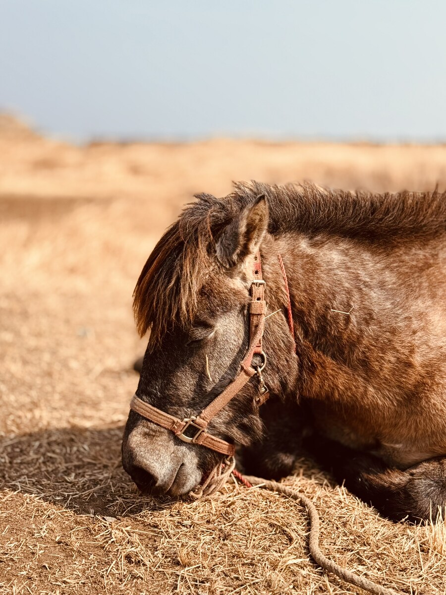 길을 걷다 만나는 작은 친구들_3.jpg