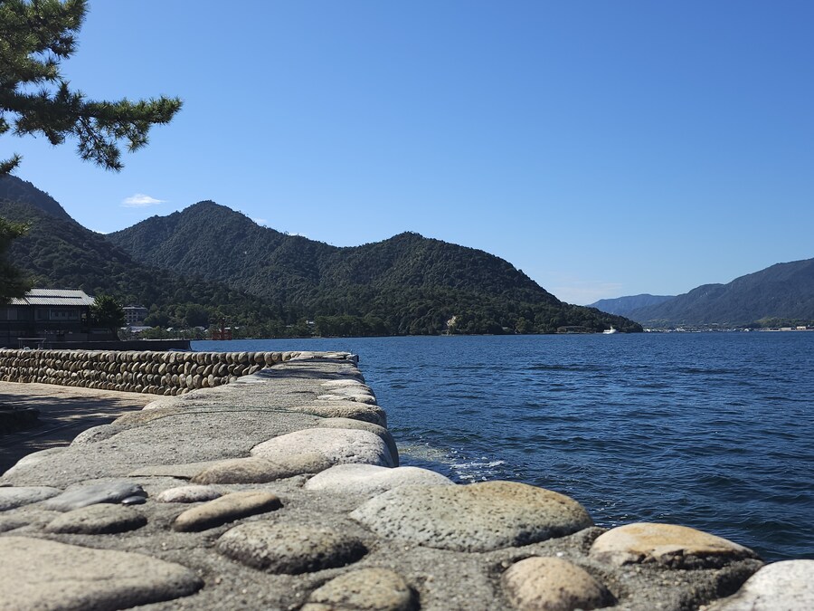 만성소화불량자의 8박9일 히로시마 여행 2일차 (미야지마)_13.jpg