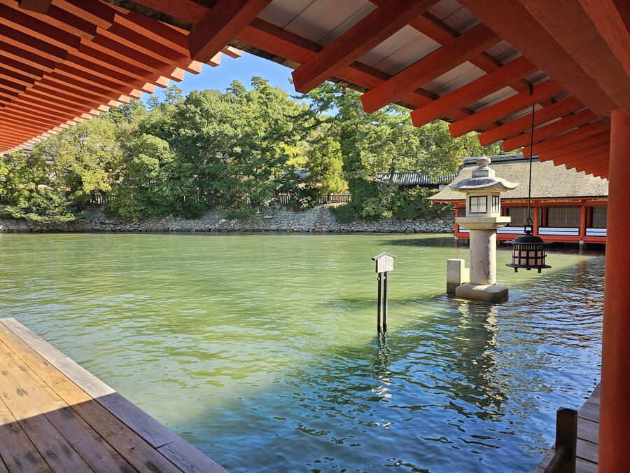 만성소화불량자의 8박9일 히로시마 여행 2일차 (미야지마)_28.jpg