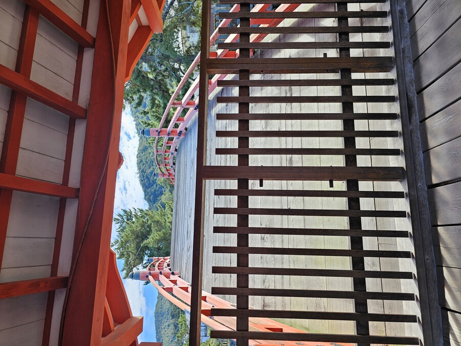 만성소화불량자의 8박9일 히로시마 여행 2일차 (미야지마)_44.jpg