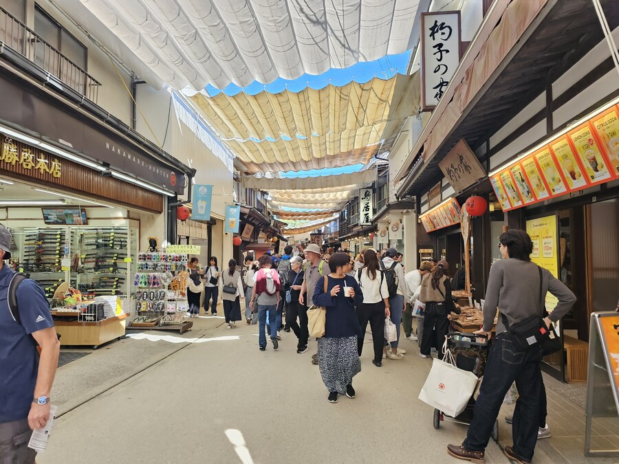 만성소화불량자의 8박9일 히로시마 여행 2일차 (미야지마)_54.jpg