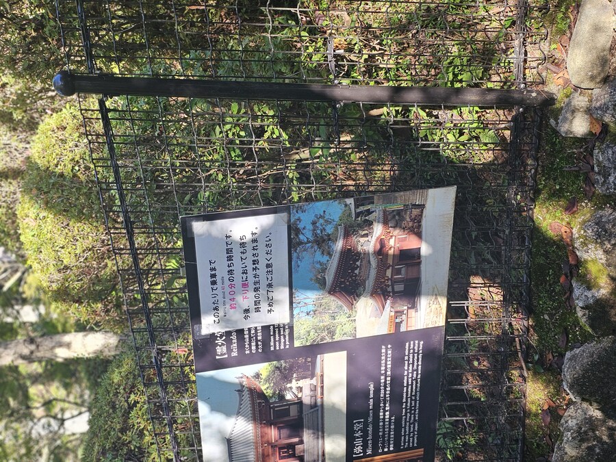 만성소화불량자의 8박9일 히로시마 여행 2일차 (미야지마)_74.jpg