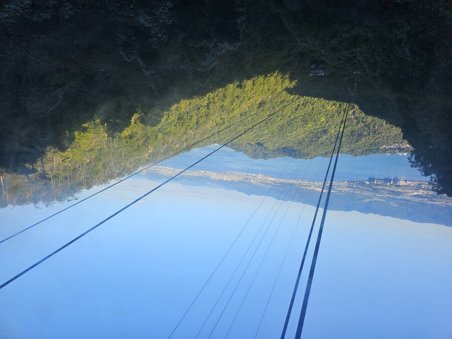 만성소화불량자의 8박9일 히로시마 여행 2일차 (미야지마)_97.jpg