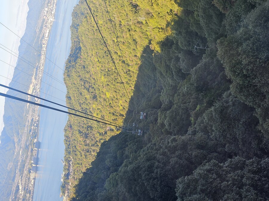 만성소화불량자의 8박9일 히로시마 여행 2일차 (미야지마)_98.jpg