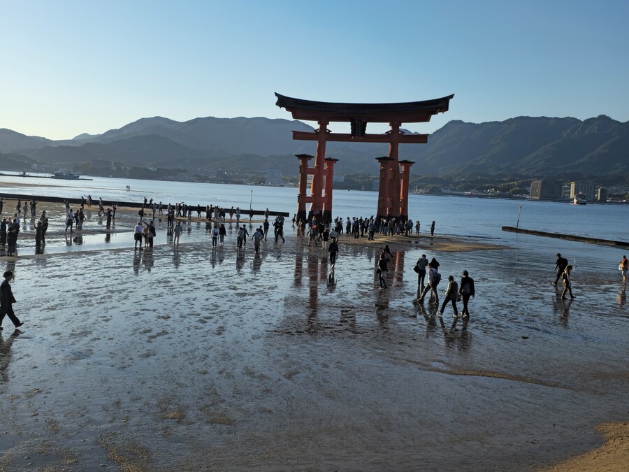 만성소화불량자의 8박9일 히로시마 여행 2일차 (미야지마)_103.jpg