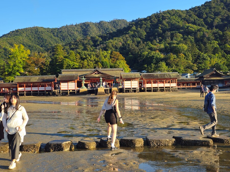 만성소화불량자의 8박9일 히로시마 여행 2일차 (미야지마)_100.jpg