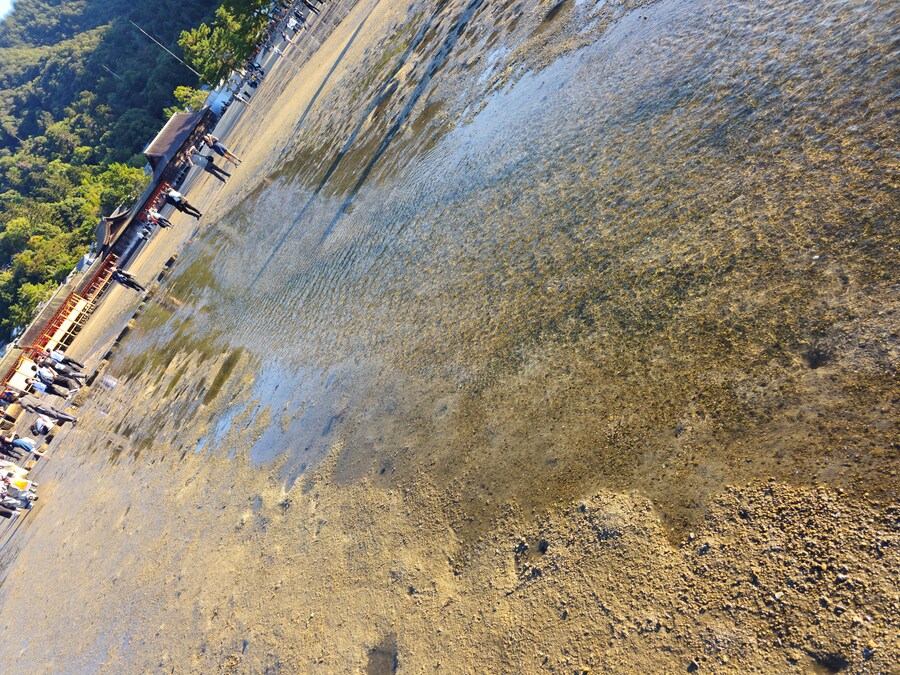 만성소화불량자의 8박9일 히로시마 여행 2일차 (미야지마)_101.jpg