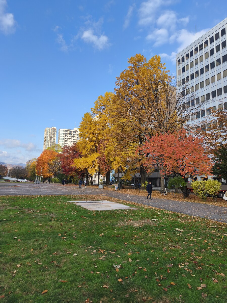 삿포르 여행 4_15.jpg