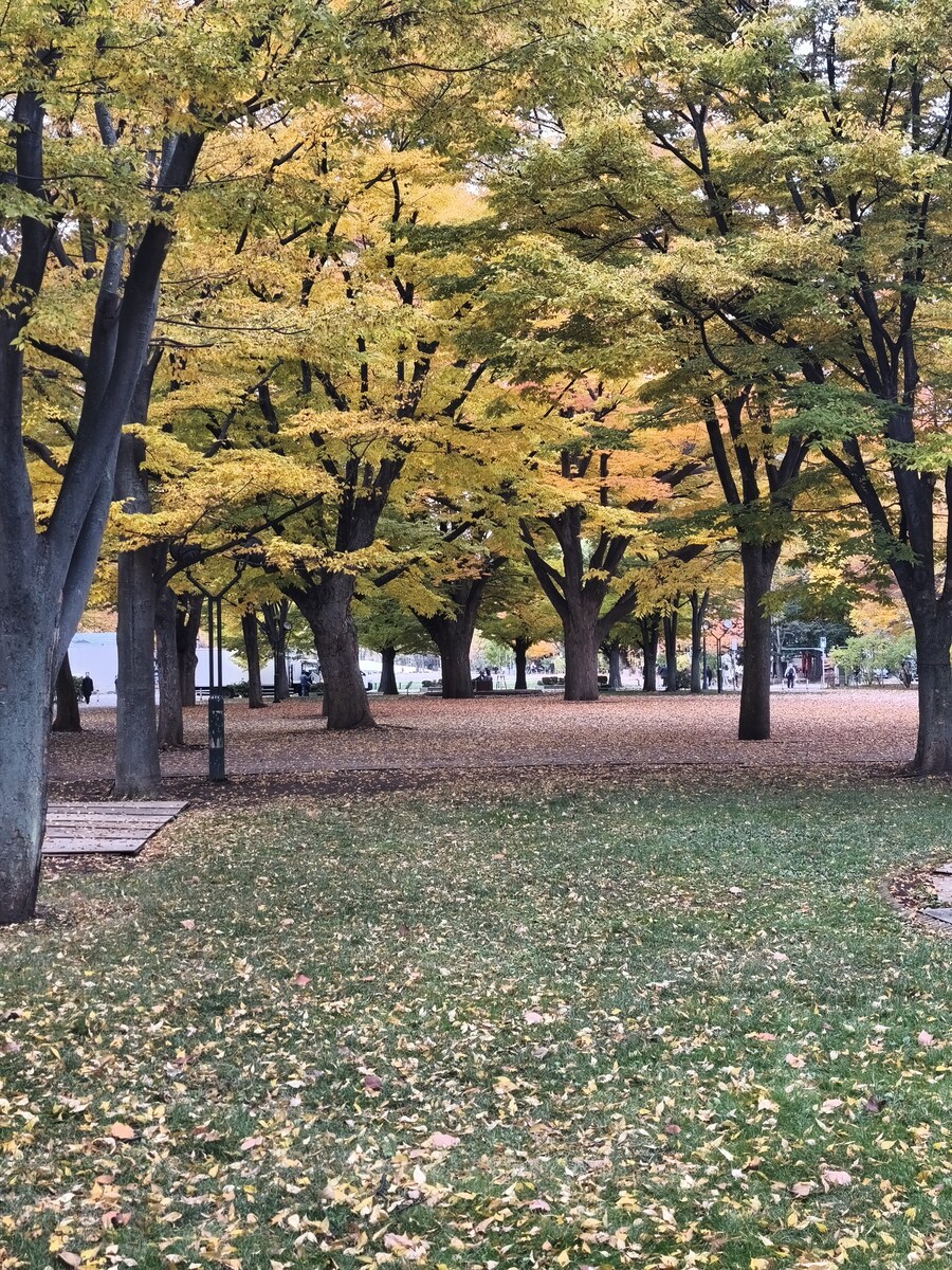 삿포르 여행 4_12.jpg