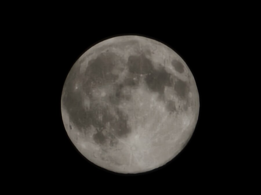 (사진)달달 보름달_2.jpg