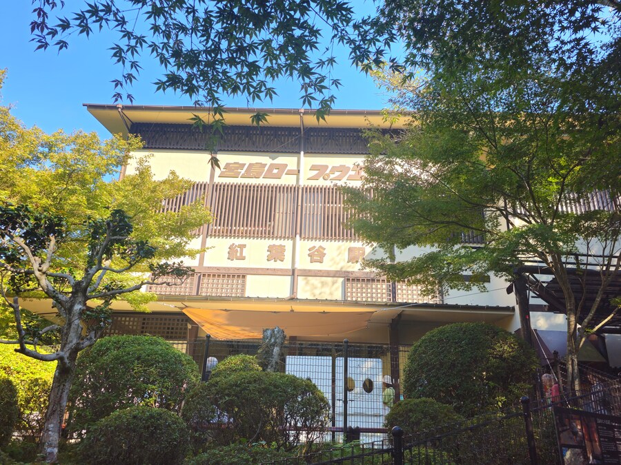 만성소화불량자의 8박9일 히로시마 여행 2일차 (미야지마)_75.jpg