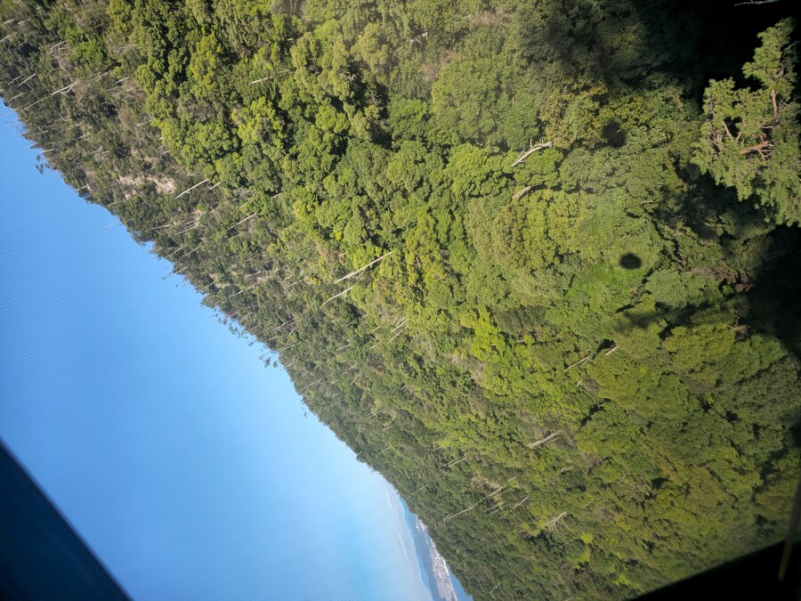 만성소화불량자의 8박9일 히로시마 여행 2일차 (미야지마)_77.jpg