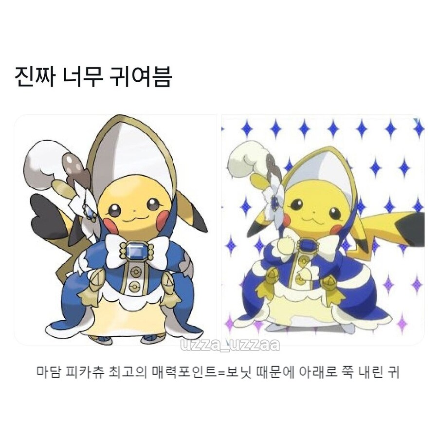 컨셉이 확실한 피카츄_4.jpg