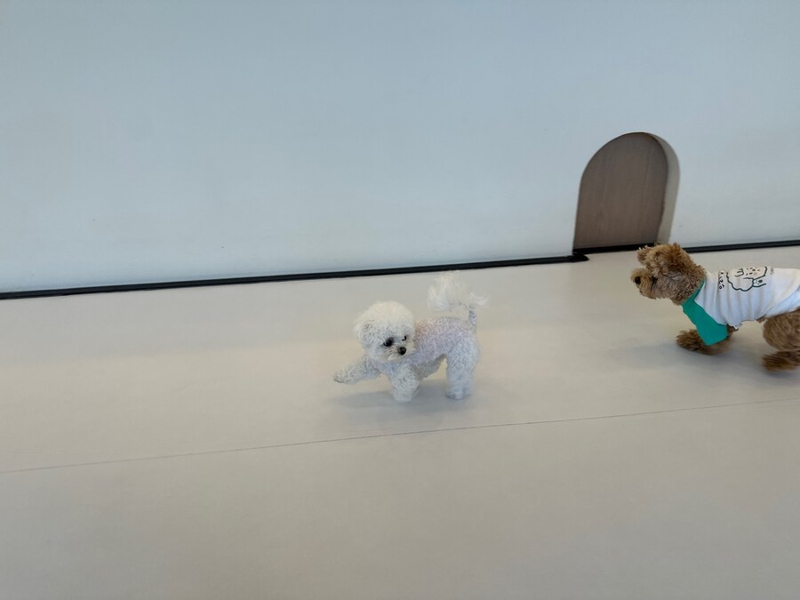 벌써 1년~~_14.jpg