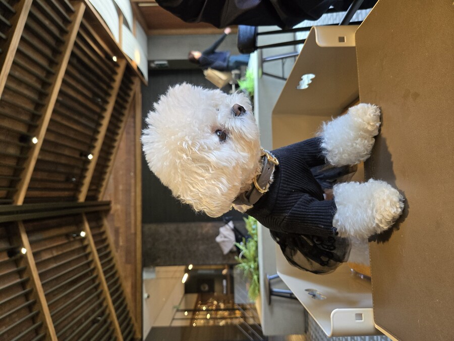 벌써 1년~~_21.jpg