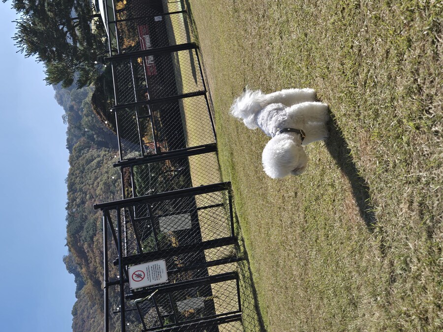 벌써 1년~~_23.jpg