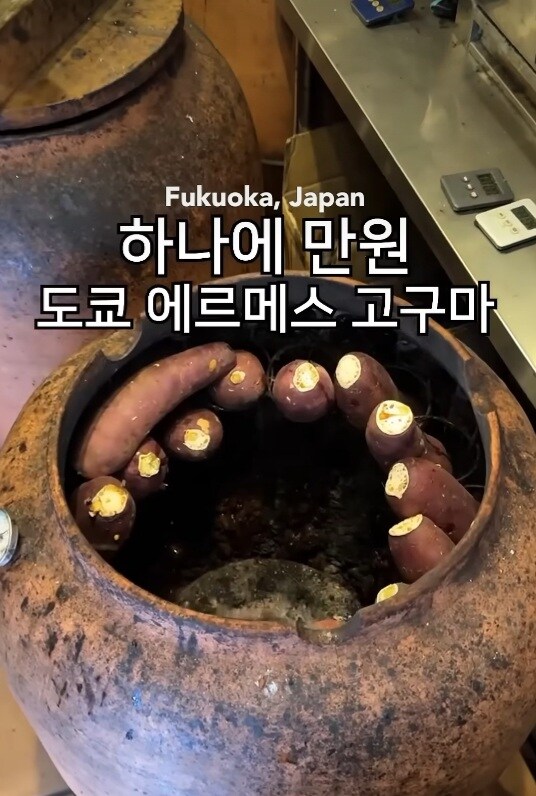 하나에 만원이라는 일본 군고구마.JPG_1.jpg