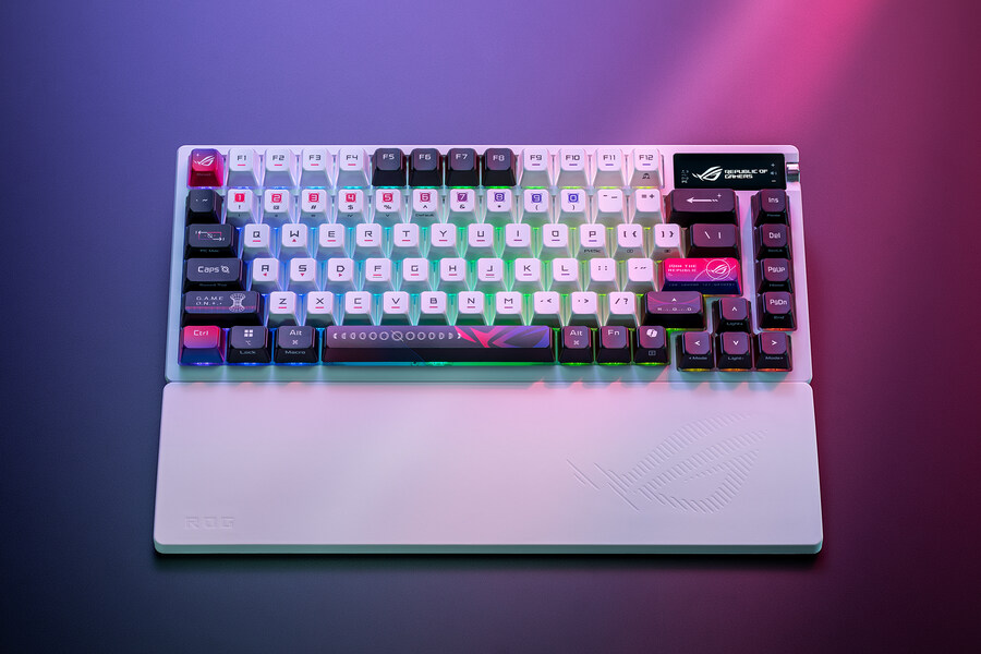 [SSG] 온 세상이 ROG, 이번엔 쓱데이에서 ROG 게이밍 기어를 만나요!_1.jpg