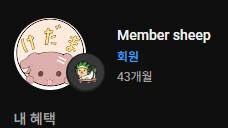 버튜버) 뭐야! 나 1년 됐었네!_2.png