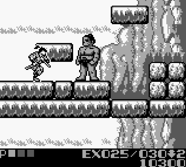 (GB)도카이도 바쇼(북미명 스모파이터)_18.jpg