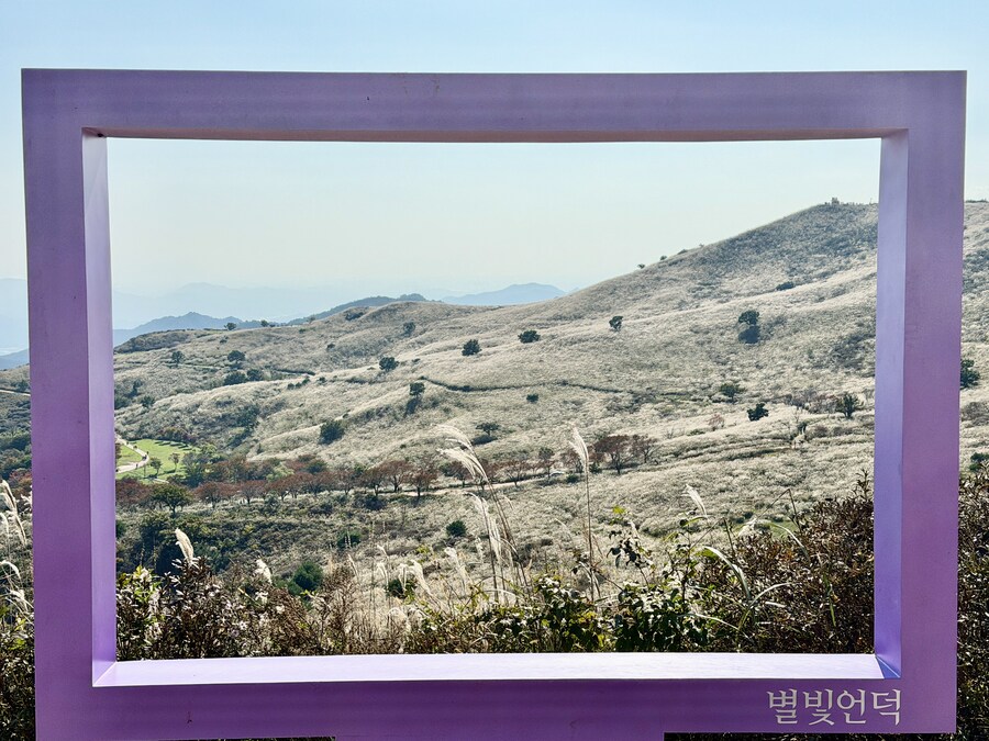 황매산 억새축제_5.jpg