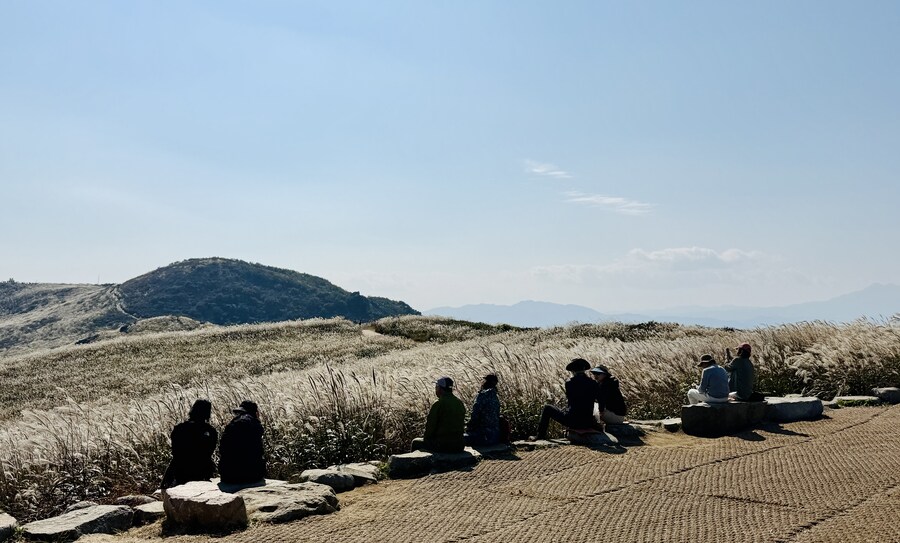 황매산 억새축제_10.jpg