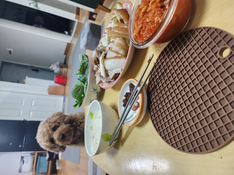 5000원 수육과 자취러 밥상 그리고 개_9.jpg