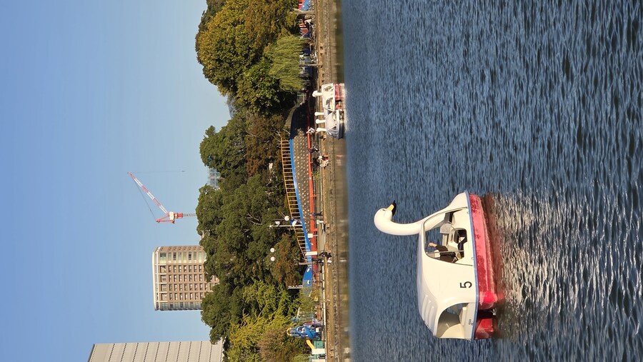 후쿠오카 오호리 공원 갔다 왔습니다!!_1.jpg