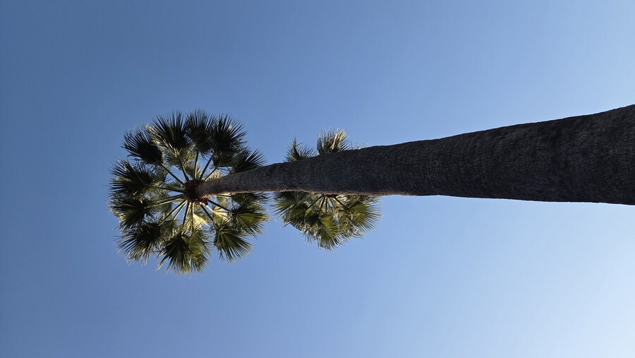 후쿠오카 오호리 공원 갔다 왔습니다!!_3.jpg