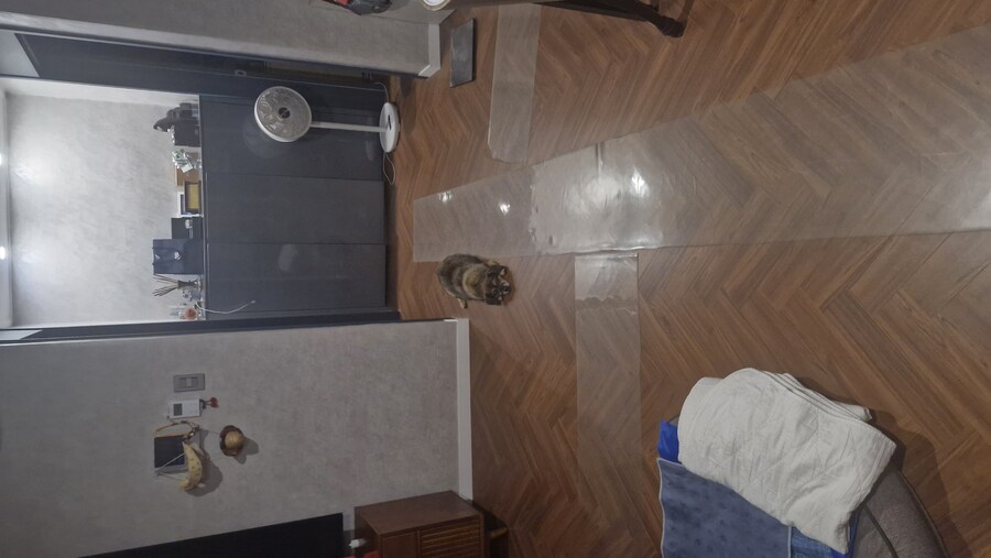 강아지)유튜브에 올려버림_5.jpg