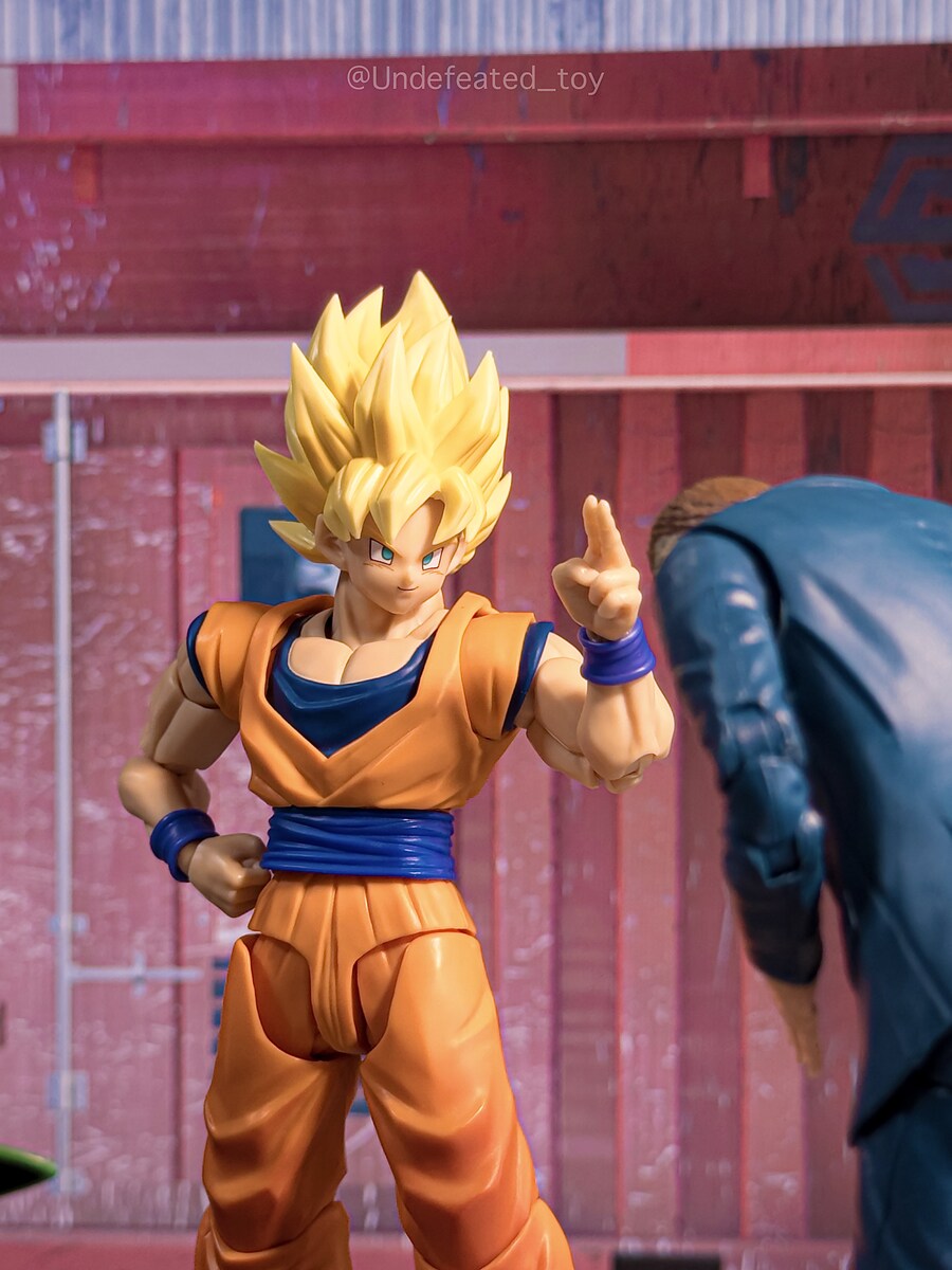 [SHF] 초사이어인 손오공 - 결전의 개막 -_23.jpg