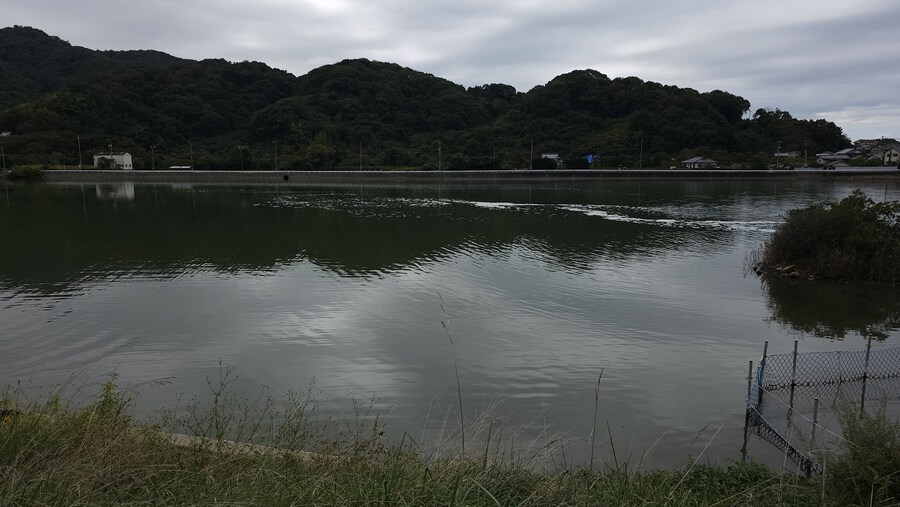 만성소화불량자의 8박9일 히로시마 여행 4일차 (타케하라2/2)_39.jpg