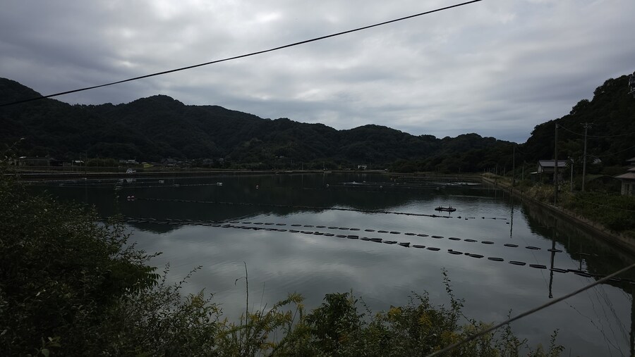 만성소화불량자의 8박9일 히로시마 여행 4일차 (타케하라2/2)_43.jpg