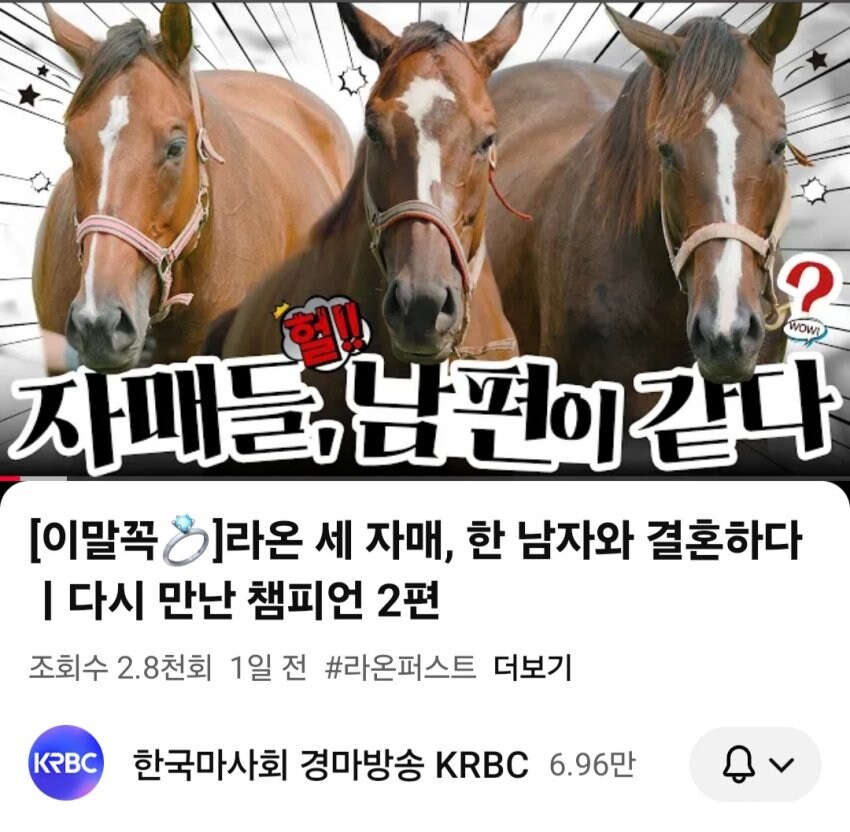 경마) 약을 한사발 하고 있는거 같은 마사회 유튜브_1.png