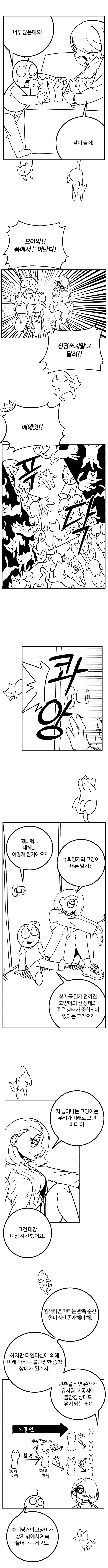 닥터 화이트와 타임머신_7.jpg