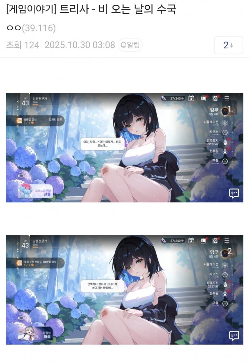 카제나 얘넨 진짜 뭘까