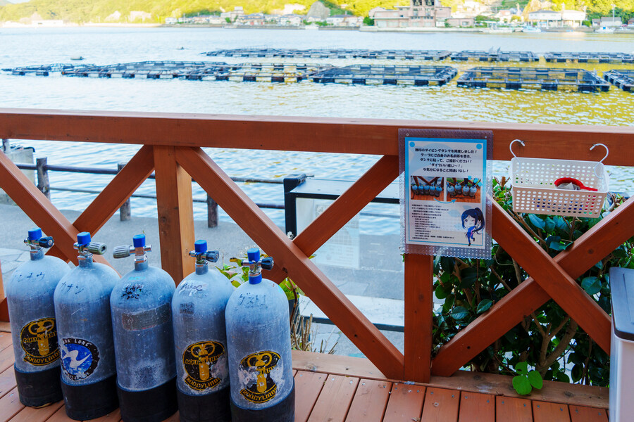 럽라) 누마즈 여행 2일차 - 우치우라 아와시마 마린파크_42.jpg