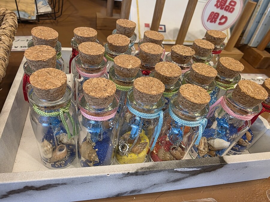 럽라) 누마즈 여행 2일차 - 우치우라 아와시마 마린파크_24.jpg