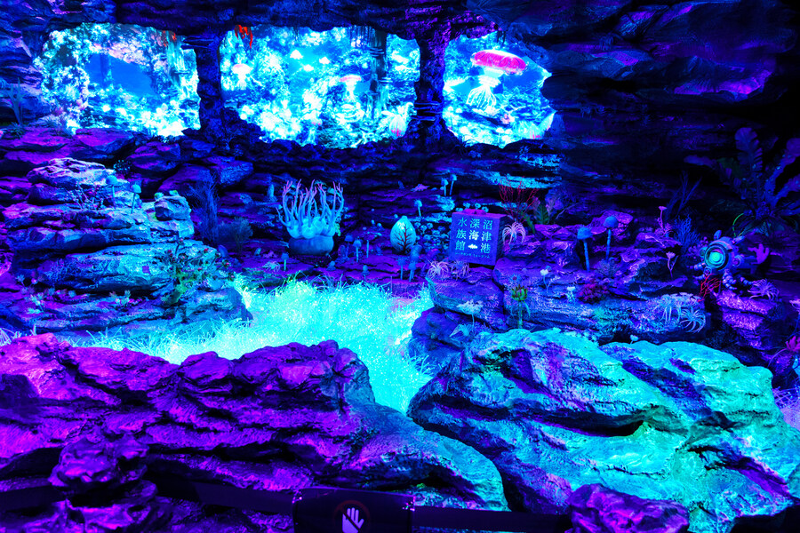 살짝 징그럽 주의) 누마즈 심해수족관_11.jpg