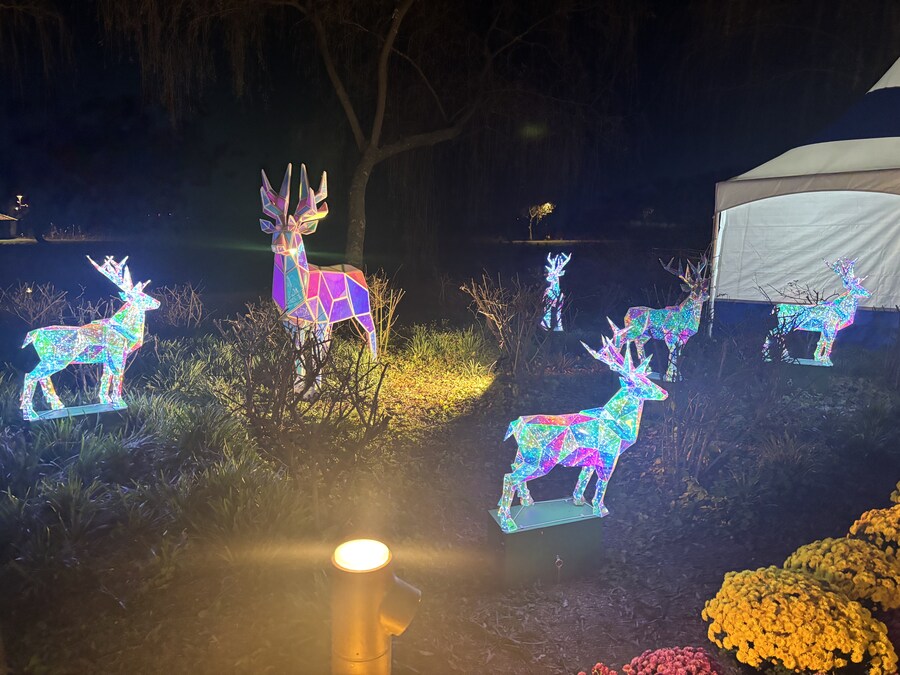 부여 놀러오세용_11.jpg