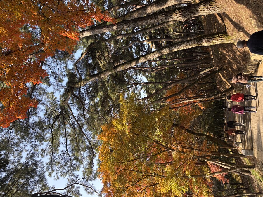 부여 놀러오세용_4.jpg