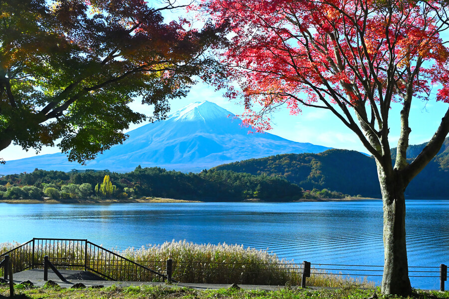 일본 도쿄 여행~_14.jpg