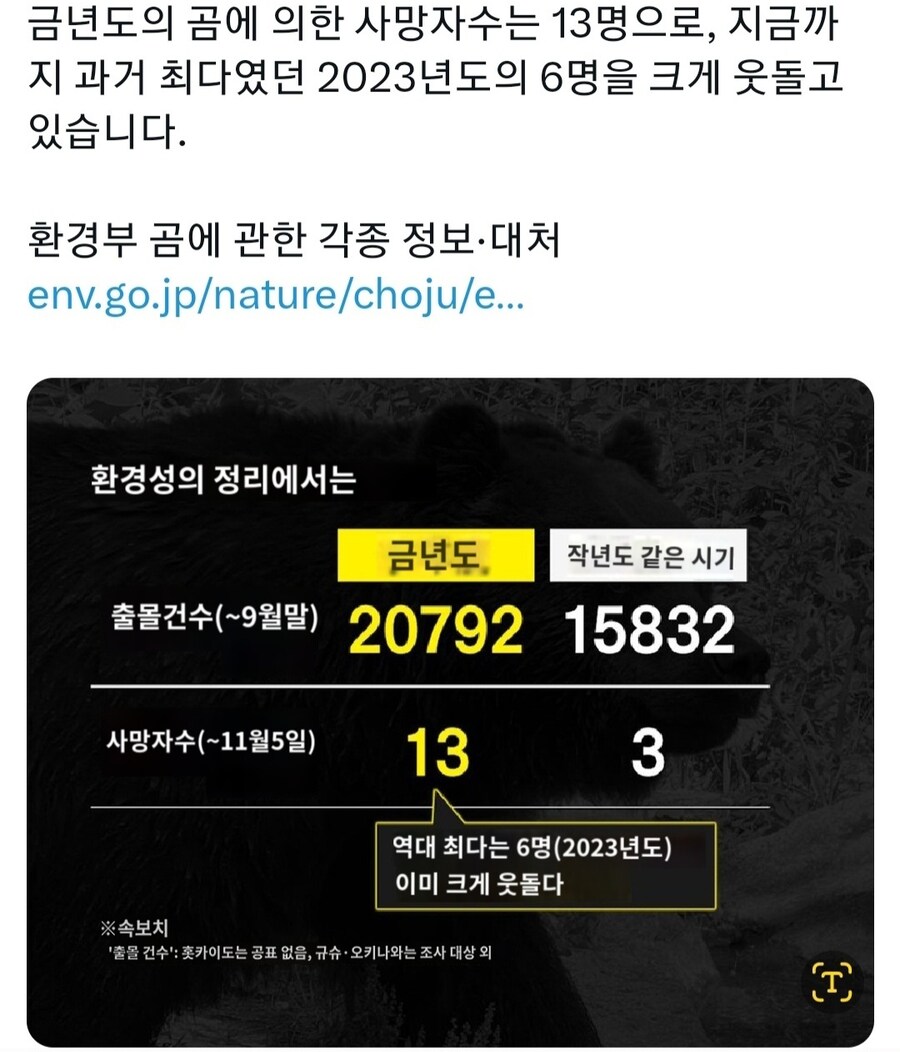 역대급 피해라 난리났다는 2025년 일본 곰 피해 사례 근황_1.jpg