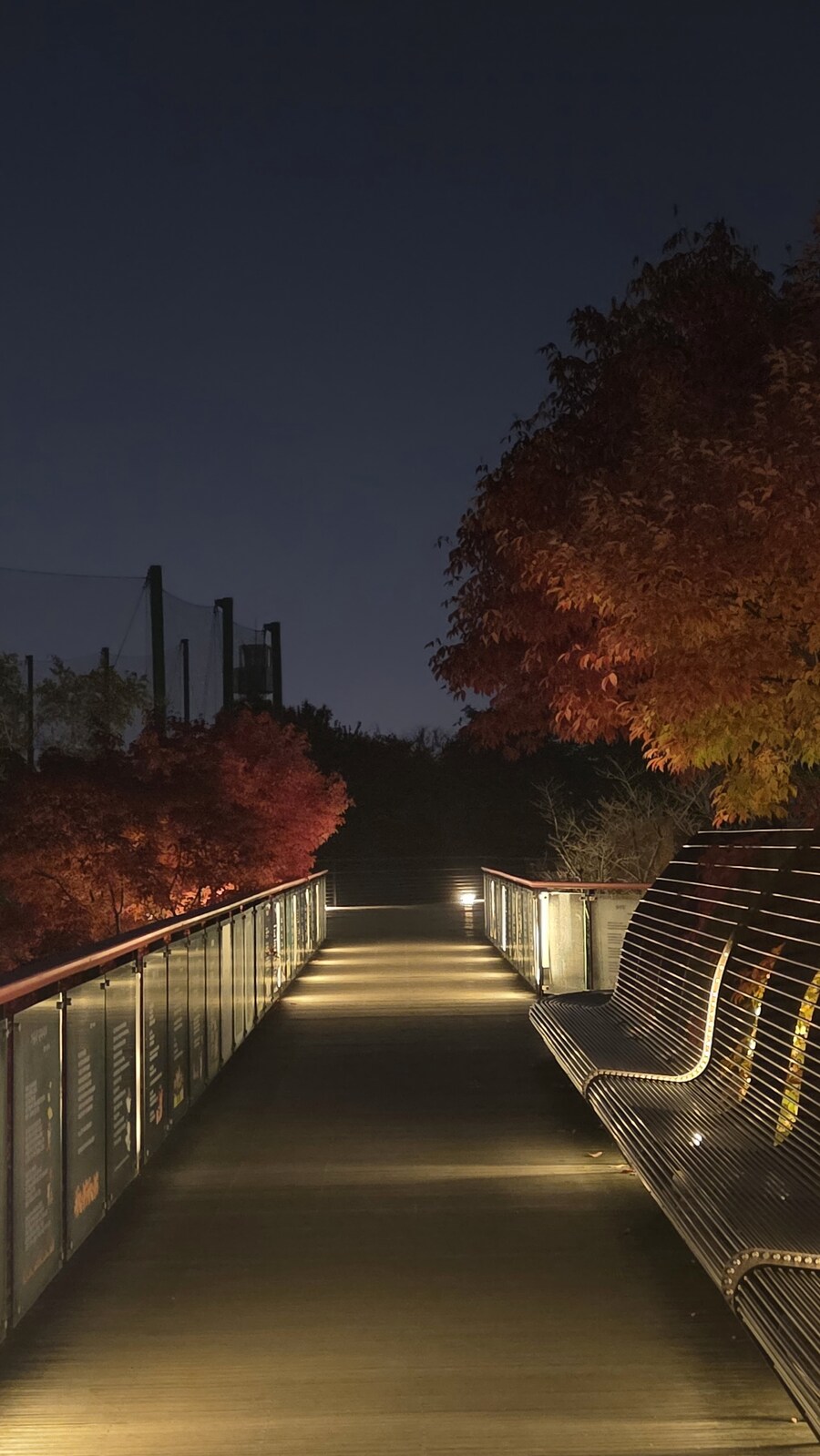 얼마 전 찍은 가을 단풍_1.jpg